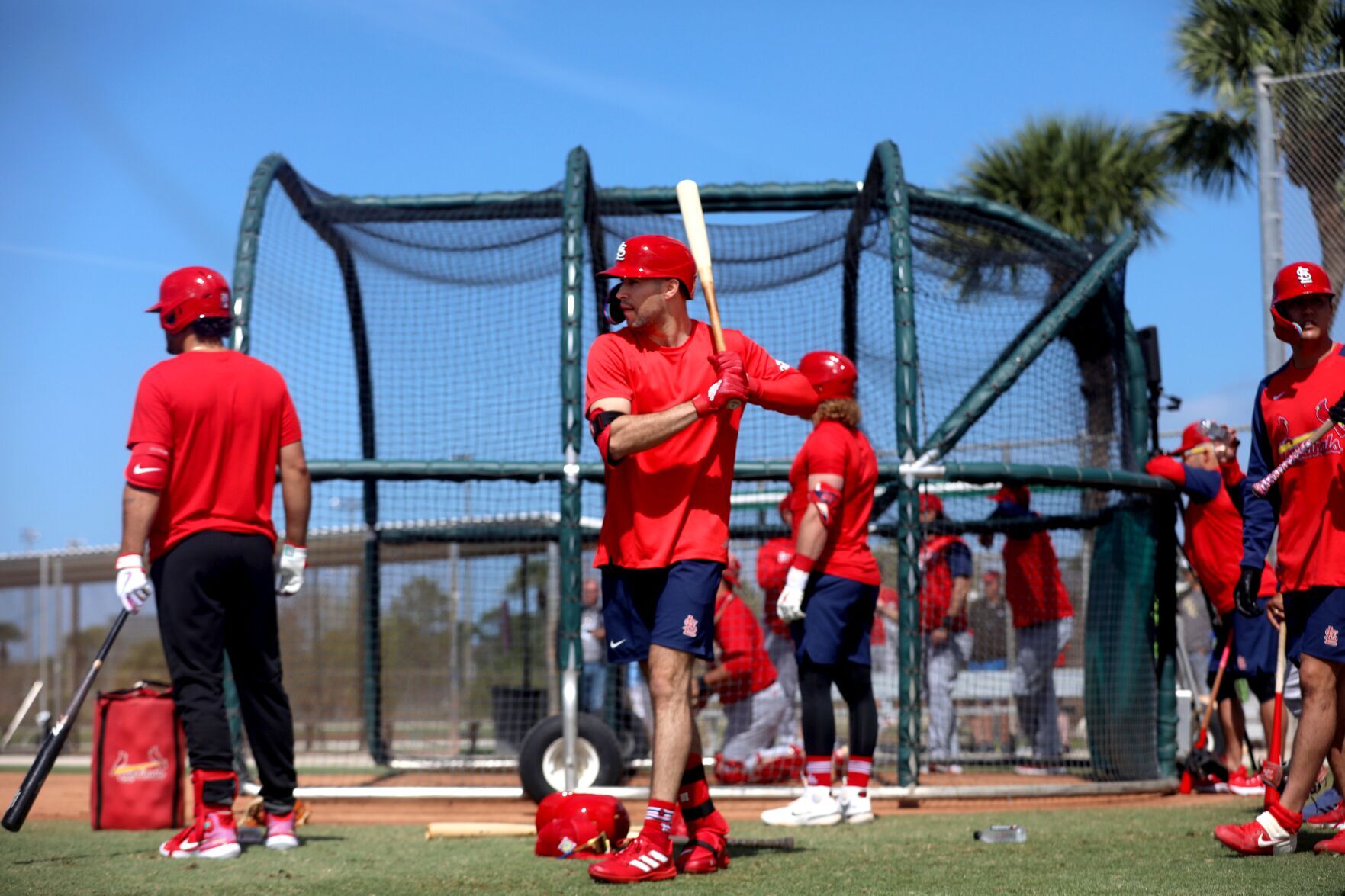 St. Louis Cardinals report to Spring Training